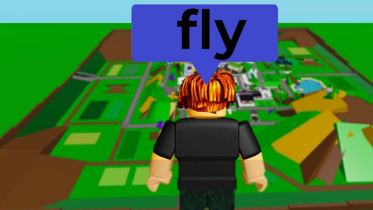 Choose A Working Fly Script Roblox 